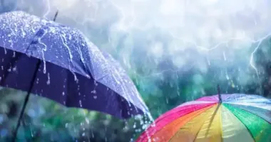 В Україні очікуються дощі та грози