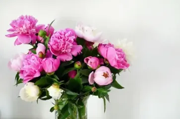 Как ухаживать за пионами в вазе: советы, которые сохранят их красоту надолго