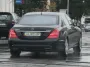 Штрафуют даже за листик из дерева: водителям нужно внимательнее присмотреться к номерам