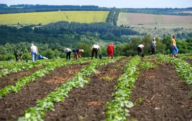 Не тільки негативні наслідки. Що може виграти Україна від глобального потепління