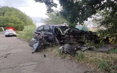 В Одесской области нетрезвый водитель BMW врезался в дерево: есть жертва, двое ранены