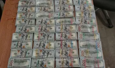 Пара украинцев пыталась пронести в Румынию $1,4 миллиона: куда спрятали деньги (видео)