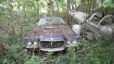 В заброшенном доме обнаружили коллекцию редких авто и самолетов (видео)