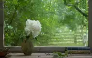 Україну накриють короткочасні дощі