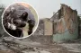 Дивовижний порятунок у Харкові: кішка Маруся вижила три дні під завалами