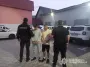На Закарпатье двое мужчин напоили и изнасиловали 15-летнюю детали