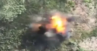 На Півдні українські воїни влаштували російським штурмовикам "FPV-суботник"