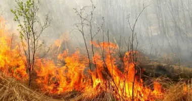 17–19 червня: в Україні оголошено надзвичайний рівень пожежної небезпеки