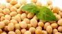 Export duty on soybeans, rapeseed to replenish state budget by UAH 7.3 bln – author of bill