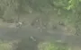 Bodies of 17 Russian assault troops lie in the open field at border with Sumy region. VIDEO
