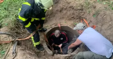 На Житомирщині за допомогою трактора врятували коня, який впав у колодязь