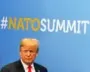 Why Europe should hijack Nato for its own purposes | Paul Taylor