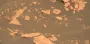 На старой фотографии Curiosity с Марса нашли необычный объект: почему NASA его не уничтожило (фото)