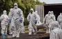 Ідентифікація тіл загиблих військових займе 14 місяців - МВС