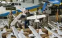 Притула "засвітив" дрони? Чому його звинуватили після удару по НАУ