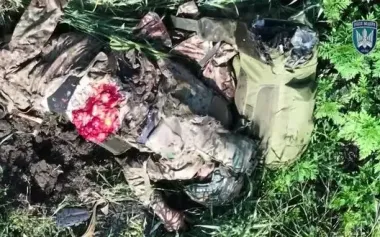 "Magyar Birds" strike 696 unique enemy targets in just one day. VIDEO 18+