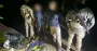 До Молдови в ластах: на Вінниччині затримали двох ухилянтів