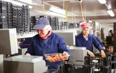Работа в Польше: что предлагают украинцам и сколько платят