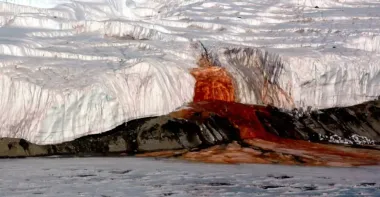 Открытая рана Антарктиды: из ледника бьет кроваво-красный водопад, который не замерзает