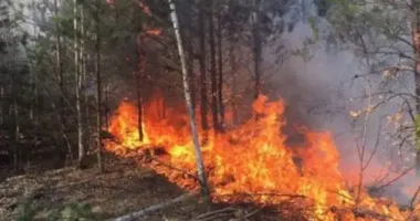 С 19 по 21 июня в Украине ожидается высокая пожароопасность