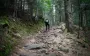 На Прикарпатье уже вторые сутки ищут 6-летнего мальчика