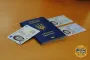 "Украинцев не 30 миллионов и даже не 40": нардеп объяснил преимущества множественного гражданства