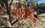 Consequences of enemy shelling in Kherson region: 14 people wounded, including three State Emergency Service employees. PHOTOS