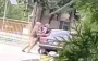 TCR and SS servicemen beat man on head and forcibly shove him into car in Chernihiv region. VIDEO