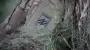 More than 800 Azov fighters still in Russian captivity - press service