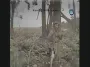 ВСУ взяли российского оккупанта в плен с помощью FPV-дрона: это впервые в истории бригады