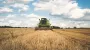 Ukrainian farmers to receive UAH 10.9 bln in support in 2025, 43% to come from intl sources – MP Yuzhanina