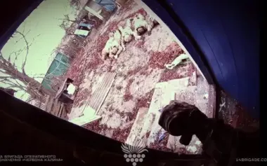 National Guard troops captured group of Russian infantrymen in Pokrovsk direction. VIDEO
