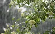 Короткочасні дощі охоплять більшість регіонів на вихідні