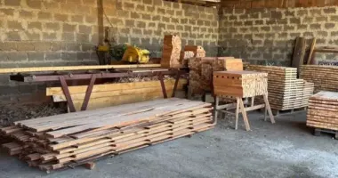 В Одесі судитимуть підприємця, який незаконно експортував деревину в ЄС