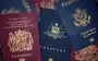 Повсюду свои: зачем Украина вводит множественное гражданство