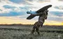 Ukraine establishes Unmanned Systems Forces grouping within Armed Forces