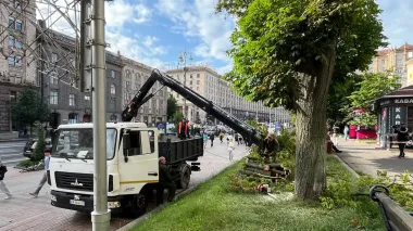 Вітер повалив дерево біля станції метро "Хрещатик" у Києві