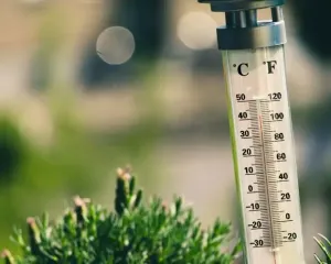 Как помочь своему организму пережить жару: не только пить воду