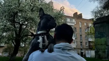 Почему собакам обязательно нужно чистить зубы и как часто это нужно делать