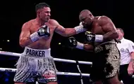 Паркер планує захистити тимчасовий титул чемпіона в третьому бою із Чисорою
