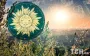 Літнє сонцестояння 2025: що категорично заборонено робити у цей особливий день