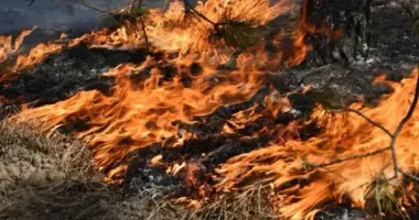 У більшості областей – надзвичайний рівень пожежної небезпеки