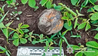 На Полтавщине после ночной атаки обнаружили кассетные боеприпасы (фото)
