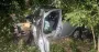 Смертельна ДТП на Житомирщині: водій авто врізався в дерево