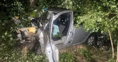 Смертельна ДТП на Житомирщині: водій авто врізався в дерево