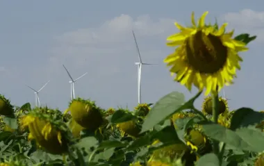 Проєкти вітрової генерації досі залишаються без податкових пільг, - Омельченко