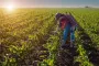 Украинкам предоставят от 3 до 7 тысяч долларов: кто может претендовать