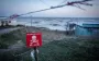 Загибель дельфінів і мор риби? Що відбувається з Чорним морем через війну