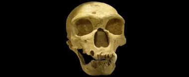 Что на самом деле уничтожило неандертальцев: у физиков есть космическая теория