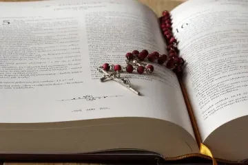 Одно из библейских пророчеств начало сбываться: о чем идет речь